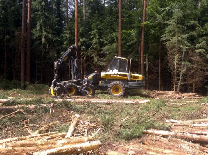Maszyna wielofunkcyjna pozyskująca drewno