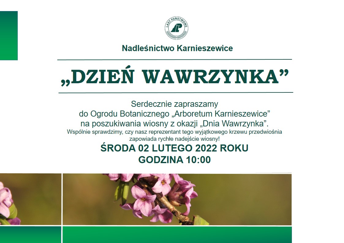 DZIEŃ WAWRZYNKA