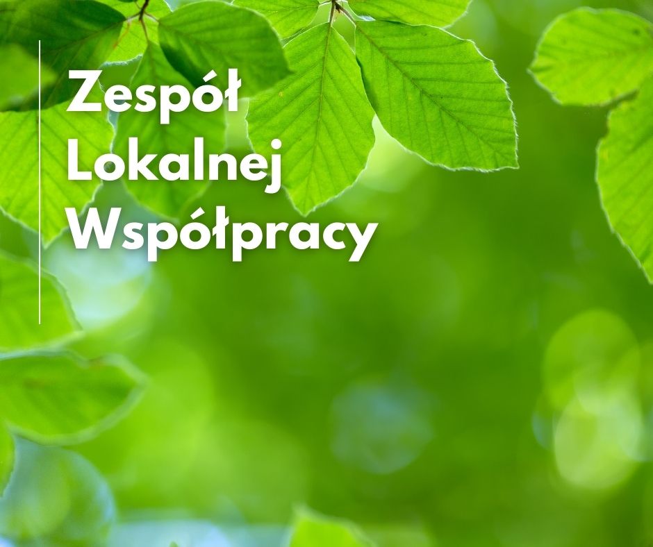 Zespół Lokalnej Współpracy